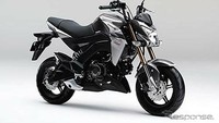 Dari segi tampilan lampu depan, terlihat tajam dan menonjol sesuai dengan karakter pada motor seri Z Kawasaki. Ist/Response.