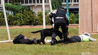 njing pelacak juga dikerahkan dalam latihan penanganan teroris.