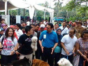 Ahok: Pelihara Hewan Wajib Pasang Microchip Agar Bisa Dikontrol