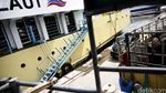 Kapal Ternak KM Camara Bawa 299 Ekor Sapi