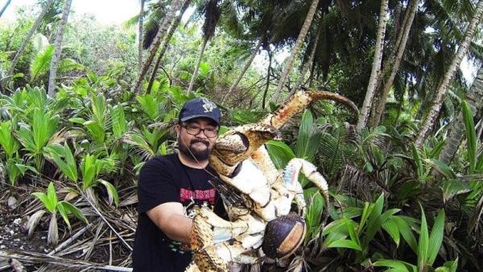 Turis Australia Nekat Berfoto dengan Kepiting Raksasa