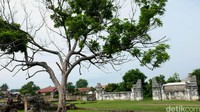 Perhatian pemerintah pusat dan daerah  dibutuhkan untuh melestarikan cagar budaya ini mengingat kondisi bangunan dan lingkungan disekitar keraton yang tidak terawat dan minim perhatian dalam upaya mendongkrak pariwisata Provinsi Banten.