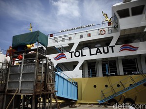 Pemerintah Buka Keran Impor Daging Besar-besaran, Apa Kabarnya Kapal Ternak?