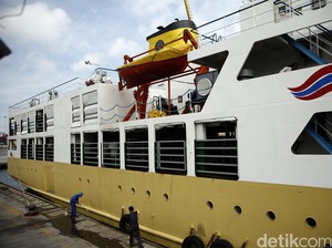 645.000 Sapi Dikirim ke Jakarta dan Jabar, 50% Diangkut Kapal Ternak