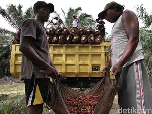 Prancis Incar Pajak Lebih Besar dari Sawit Indonesia?