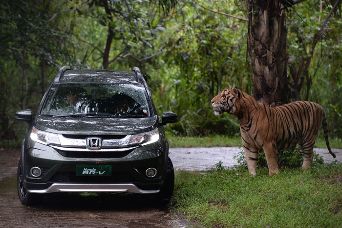 Tren Mobil Selalu Berubah, Ini Strategi Honda