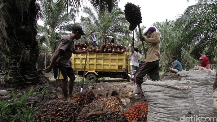 Foto: Febri Angga Palguna Foto: Febri Angga Palguna