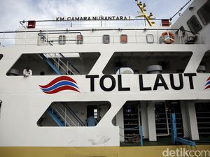 Ada Program Tol Laut Jokowi, Harga Semen Hingga Ayam Potong di Papua Turun