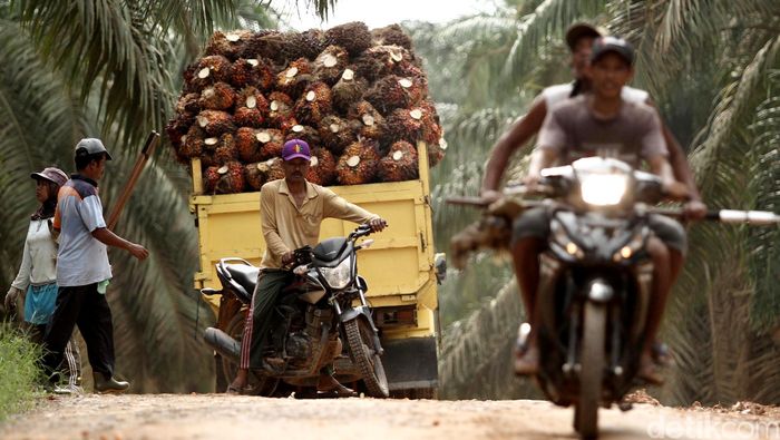 Foto: Febri Angga Palguna Foto: Febri Angga Palguna