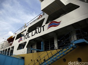 Besok Tiba di Priok, Kapal Ternak Bawa 400 Sapi
