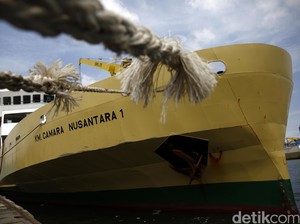 Mau Kirim Sapi dari NTT ke Jakarta Pakai Kapal Ternak? Ini Caranya