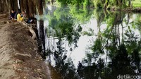 Di halaman belakang Istana Kaibon terdapat sungai berair pekat dan berbau serta dua buah pohon besar yang akarnya menjulur kebawah yang dijadikan tempat bermain anak-anak.