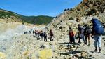 Hamparan Padang Edelweiss Menawan di Gunung Papandayan