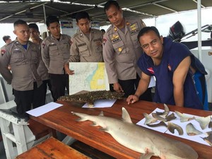Polisi Cokok Nelayan yang Menangkap 17 Ekor Ikan Hiu di Perairan Pangkep