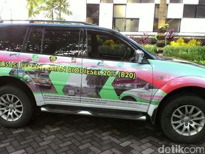 Ada Solar Hijau, RI akan Kurangi Impor BBM Hingga 6,5 Juta KL