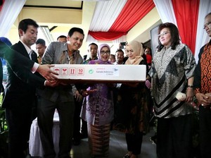 Tandai Ultah ke-73, Mufidah Kalla Ekspor Bunga Krisan ke Jepang