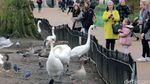 Olahraga dengan Pemandangan Cantik di St Jamess Park
