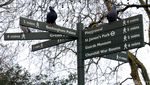 Olahraga dengan Pemandangan Cantik di St Jamess Park