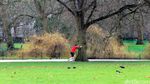 Olahraga dengan Pemandangan Cantik di St Jamess Park