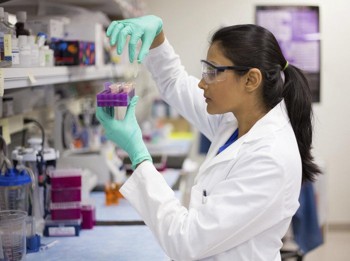 Donor Stem Cell Tidak Bisa Sembarangan, Ada Hal-hal yang Perlu Diperhatikan