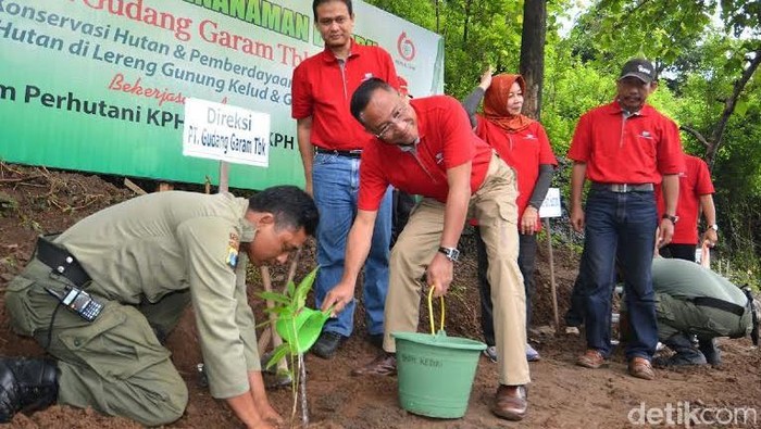16 Ribu Bibit Bambu Ditanam untuk Selamatkan Mata Air Pegunungan