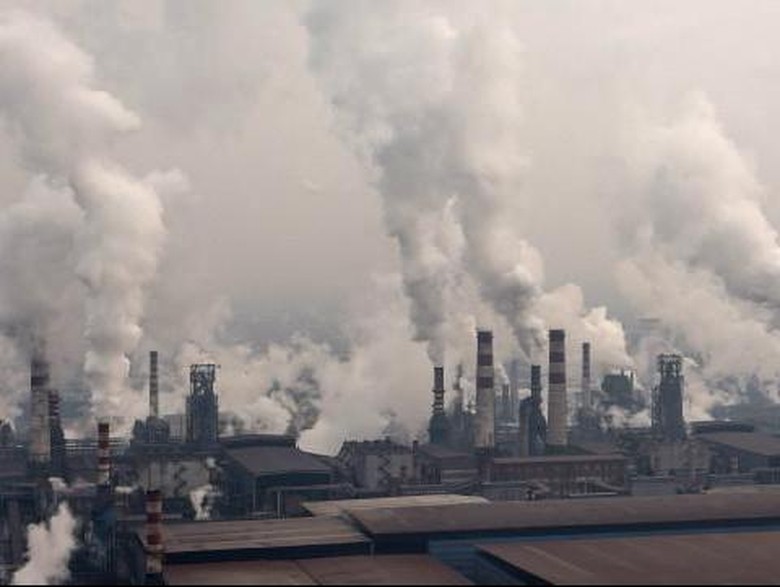 500 Ribu Orang Tewas di Eropa Tiap Tahun Akibat Polusi  Udara 