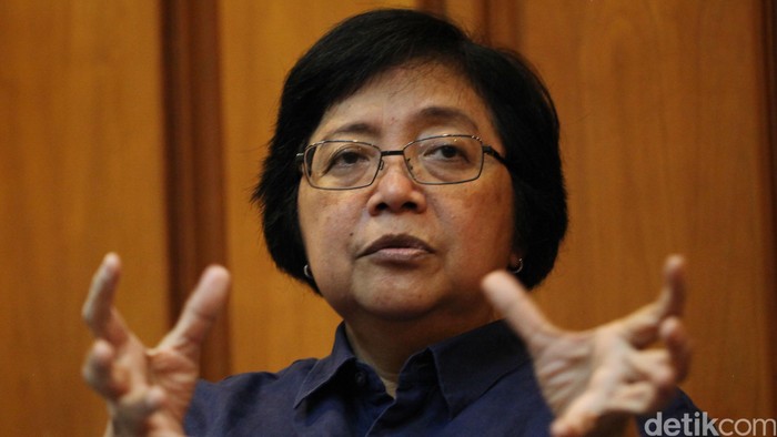 Menteri LHK: Harus Ada Rencana Strategis dalam Reklamasi Teluk Jakarta