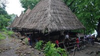 Foto: Bangunan ini disebut juga sebagai rumah gudang, digunakan untuk tempat tinggal Suku Abui. Rumah tidak berdinding, namun lotengnya cukup besar. Secara keseluruhan, ada 4 ruangan di rumah gudang ini (Kurnia/detikTravel)
