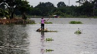 Kondisi Situ Cipondoh yang terletak di wilayah Kota Tangerang semakin memprihatinkan. Akibat tidak diurus, situ yang juga menjadi tempat resapan air itu luasnya kian menyempit. Al Fanny Panestika/detikFoto.