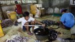 Mengintip Rumah Potong Ular di Cirebon