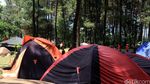 Mengunjungi Gunung Pancar Bogor