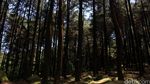Mengunjungi Gunung Pancar Bogor