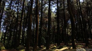 Wisata Gunung Pancar Mahal Disorot Sandiaga, Kadisparbud Bogor Evaluasi