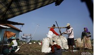 Petani menimbang bawang merah yang akan dijual.