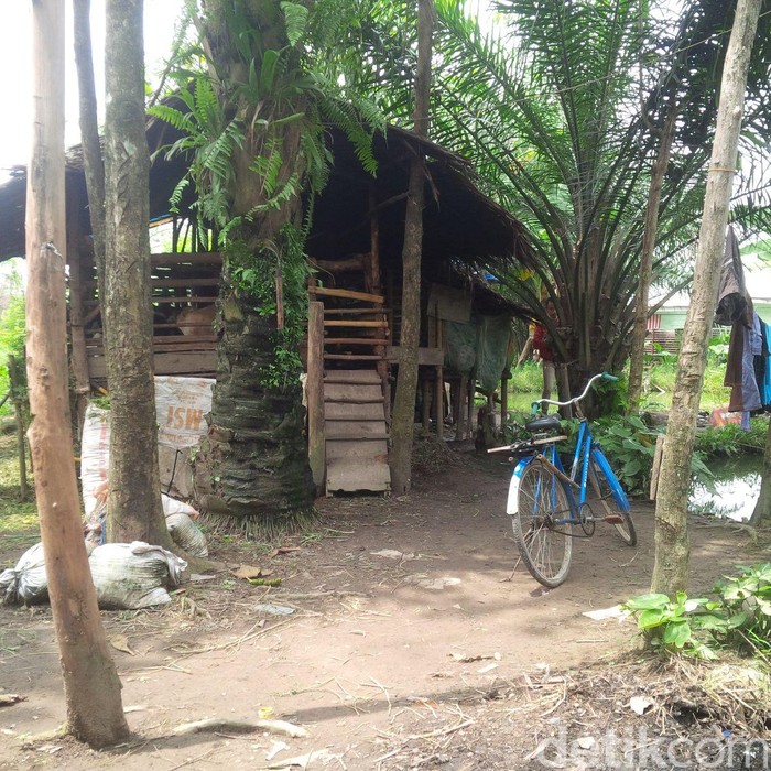 Ismawanti yang Tinggal di Samping Kandang Kambing Dipindahkan ke Kontrakan