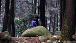 Mengunjungi Gunung Pancar Bogor