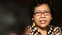 Wakil Ketua Komnas HAM Siti Noor Laila mengatakan pihaknya telah melakukan diskusi terkait hukuman kebiri dengan berbagai pakar. Menurut para pakar sebab kekerasan seksual bukan hanya bersifat medis namun juga psikologis dan sosial.