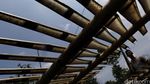 Mengintip Rumah Potong Ular di Cirebon