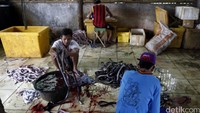 Pekerja membersihkan ular-ular yang akan diambil daging dan kulitnya, ular ini didapat dari pengepul dan pemburu ular.