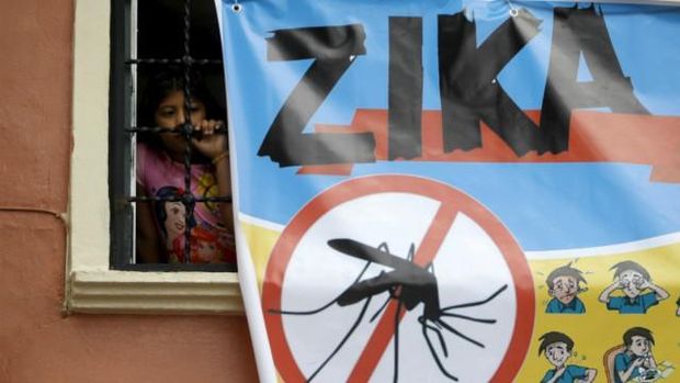 Februari: WHO Tetapkan Wabah Zika Keadaan Darurat Global