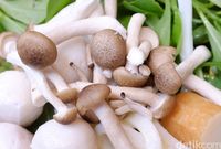 Ini Cara Benar Memasak Jamur Menurut Peneliti
