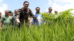 Ibas Resmikan Taman Teknologi Pertanian