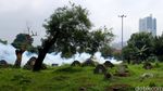 Cegah DBD, Sekolah & Kuburan Difogging