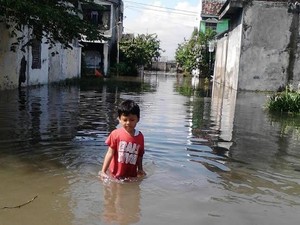 Ratusan Rumah di Jember Terendam Banjir