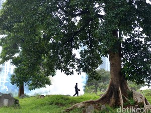 Total 613 Kasus DBD di DKI, Jaksel Paling Tinggi!