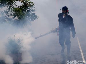 Tiga Warga Bandung Barat Meninggal Akibat DBD