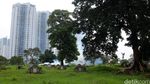 Cegah DBD, Sekolah & Kuburan Difogging