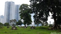 Proses pengasapan di kawsan ini telah berlangsung beberapa hari.