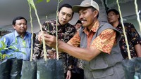 Ibas didampingi Wakil Ketua Komisi IV Fraksi Partai Demokrat DPR RI Herman Khaeron menyaksikan petugas melakukan perawatan pohon. Pool/FPD.