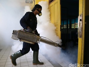 Butuh Banyak Penelitian, Virus Zika Masih Penuh Misteri